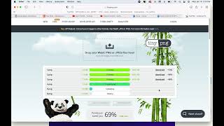 TINYPNG TUTORIAL [upl. by Orihakat]