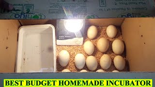 How to Make Egg Incubator at Home [upl. by Katti]