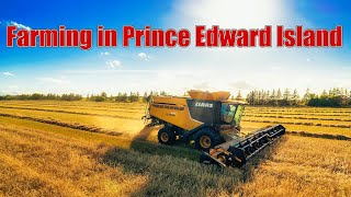 Farming in Summerside Prince Edward Island Canada [upl. by Nnairam]