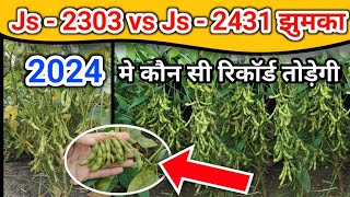 सोयाबीन js2431 झुमका वेरायटी  New soyabean verayti  सोयाबीन की टॉप वेरायटी [upl. by Audres]