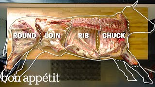 How To Butcher An Entire Cow Every Cut Of Meat Explained  Bon Appetit [upl. by Hassadah575]