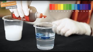 Chemistry Lesson  pH Indicator  Acid amp Base Experiment  Science for Kids [upl. by Amarette]