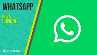 Nova atualização no WhatsApp traz recurso jamais esperado [upl. by Gusty2]