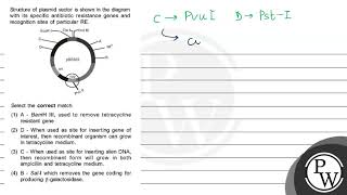 Structure of plasmid vector is shown in the diagram with its specific antibiotic resistance gene [upl. by Anirbac653]