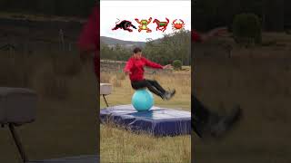 Fails BehindTheScenes  How animals Parkour [upl. by Alvera]