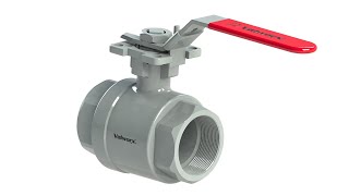 Valworx Stainless Steel Ball Valves [upl. by Olympias797]