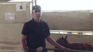 AllAccess Patrick Smith  BFI13  Horse Conditioning [upl. by Okeim]