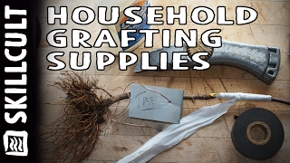 Grafting with Household Supplies Nothing Special Needed [upl. by Lodie]