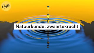 Wat Is Zwaartekracht  Mr Chadd [upl. by Tracee357]