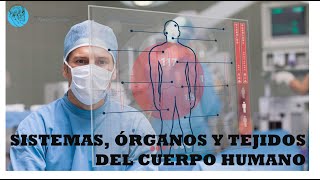 Sistemas órganos y tejidos del cuerpo humano explicados por un anatomista [upl. by Nimajeb]