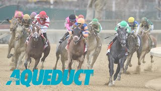 Aqueduct Simulcasting  January 11 2024 [upl. by Neerbas43]