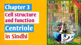 centrioles class 11 biologyChapter 3 cell structure and functionSindh board [upl. by Nevet]