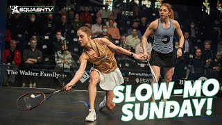 Georgina Kennedy v Nele Gilis in Slow Motion  SlowMo Sunday 🎥 [upl. by Baelbeer]