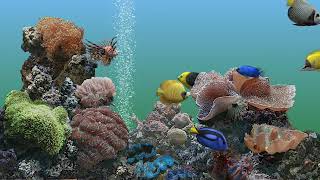 Apple Macintosh  SereneScreen Marine Aquarium Screen Saver [upl. by Okeim134]