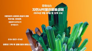 오아시스자연사박물관물품경매2024년 9월 28일토오후2시9월탄생석사파이어청금석루비골동품경매SapphirelapislazuliSeptembeBirthstone [upl. by Odnaloy812]