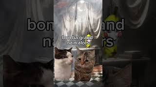 Le manoir hanté meme chatdrole humour drole catmemes [upl. by Aicsile]