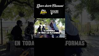 ¡Subí el volumen y báilate este chamamé 🇦🇷shorts dance chamame folk baile folk folclore [upl. by Ecnadnac508]