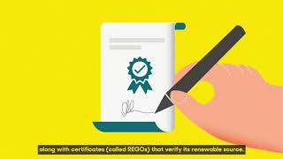 How most 100 renewable electricity tariffs are powered by fossil fuels [upl. by Nnawaj905]