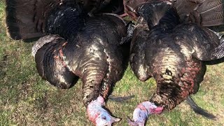 spring turkey season 2024 podcast [upl. by Eirrem]