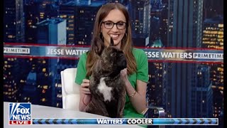 Kat Timpf  Bring Your Carl To Work Day [upl. by Asetal]