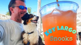 Florida Mini Loop Ep22  Sunset Cove Key Largo [upl. by Nueoras]