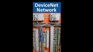 RSNetWorx Part1  DeviceNet Networking with CompactLogix PLC 1769SDN Devicenet Scanner amp 1769ADN [upl. by Neyuq797]