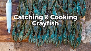 Crayfish Catch em and Cook em [upl. by Anirok921]