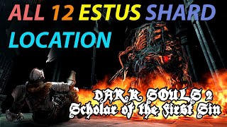 All 12 Estus Flask Shard Locations  Dark Souls 2 Scholar of The First Sin [upl. by Moulton710]