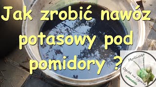 Domowy bio nawóz potasowy dla pomidorów [upl. by Doss507]