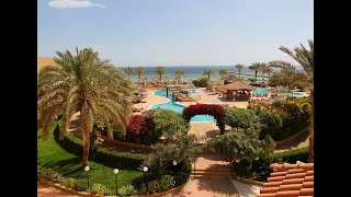 FLAMENCO BEACH amp RESORT MARSA ALAM EL QUSEIR EGYPT 2020 [upl. by Assecnirp]