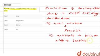 Penicillium is commonly known as [upl. by Inotna]