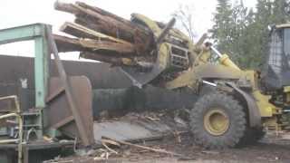 Forestry in British Columbia  Canada [upl. by Azal623]