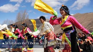 Live What does the Tibetan New Year look like 藏历新年知多少 [upl. by Rosabel]