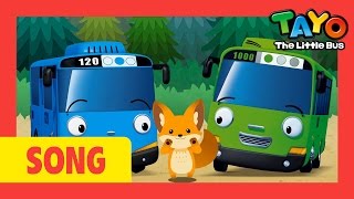 Tayo Song Here We Go Looby Loo l Nursery Rhymes l Tayo the Little Bus [upl. by Weywadt]