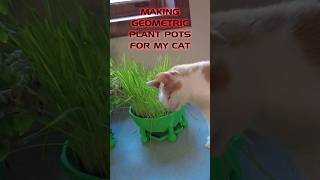 Making Geometric Plant Pots for my Cat 3dprintingcat [upl. by Hudis]