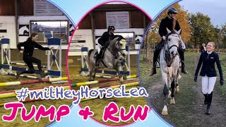 Lia amp Alfi  Jump and run mit Lea und Dallas [upl. by Steward]