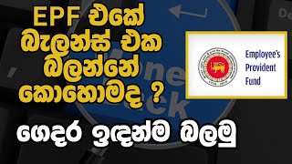 🔴 EPF බැලන්ස් එක ලේසියෙන්ම බලාගන්නේ මෙහෙමයි  How to Check Your EPF Balance Online in Sri Lanka [upl. by Navis994]