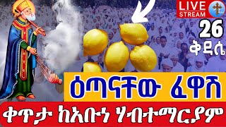 ♦️Live 26 ዕጣናቸው ፈዋሽ ጻድቅ♦️ቀጥታ ከሲግናል አቡነ ሃብተማርያም ጥቅምት 26  EOTC Live Abune Habtemariam Nov 5 [upl. by Garin58]