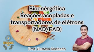 Bioenergética  reações acopladas e NADFAD transportadores de elétrons [upl. by Ydok578]