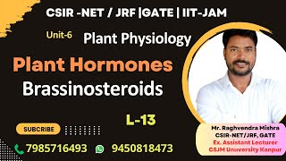 Brassinosteroids  Biosynthesis amp Signaling  Plant Hormones  Plant Physiology genesisinstitute [upl. by Brecher600]