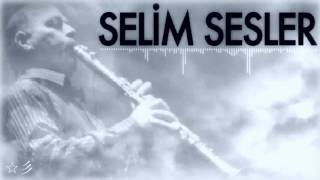 Selim Sesler  Ada Çiftetellisi ☆彡 [upl. by Maria]