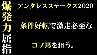 「アンタレスステークス2020」出走予定馬・予想オッズ・人気馬見解 [upl. by Ayekram475]