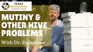 Dr Keith Delaplane on Mutiny And Other Things That Can Go Wrong in a Bee Colony Besides mites [upl. by Tedra]