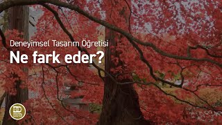 Deneyimsel Tasarım Öğretisi  Ne Fark Eder [upl. by Barnabas329]