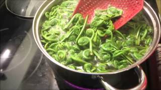 How to prepare fiddleheads for freezing by blanching [upl. by Nauqyaj]