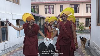 Jampa choekhorབྱམས་པ་ཆོས་འཁོར་།reel videohimalays monksKullu dhakpo monastery [upl. by Rugg]