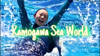 ランちゃんに届け！圧巻のシャチパフォーマンス 鴨川シーワールド Kamogawa Sea World [upl. by Alakam]