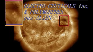 ELECTROCEUTICALS inc amp POLYMORPHES pas ALIEN [upl. by Gerard]