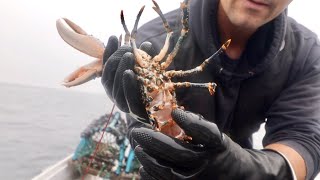 Hand Hauling Lobster amp Crab Pots  Catching and Cooking Fresh Lobster [upl. by Ignacius553]