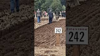 Traditional Horse Ploughing at the 73rd British National Ploughing Championships 13th October 2024 [upl. by Oinotna819]